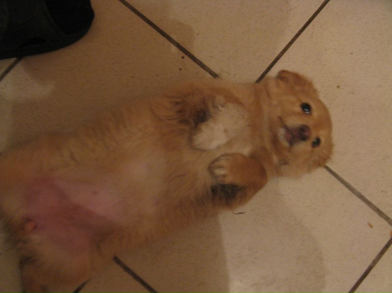 Дмитрий Бурлаков фотография #32