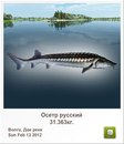 Людмила Бабікова фотография #46 (источник - https://vk.com/id155289329)