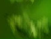 Роман Ліщинський фотография #9 (источник - https://vk.com/id38021609)