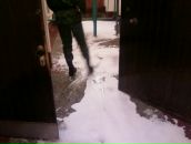 Фотография Навылета Поцелуя