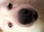 Hugh Jackman фотография #4 (источник - https://vk.com/id3820803)