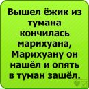Діма Мазур фотография #27 (источник - https://vk.com/id137892479)