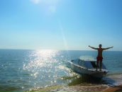 Фотография Novikov Alexandr