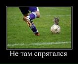 Міша Божан фотография #41 (источник - https://vk.com/id31850740)