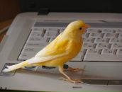 Фотография Сонниковой Ольги