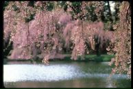 Фотография Огневой Людмилы