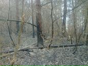 Сергей Чулочников фотография #27 (источник - https://vk.com/id271202)