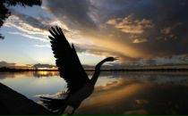 Фотография Курмаева Галия