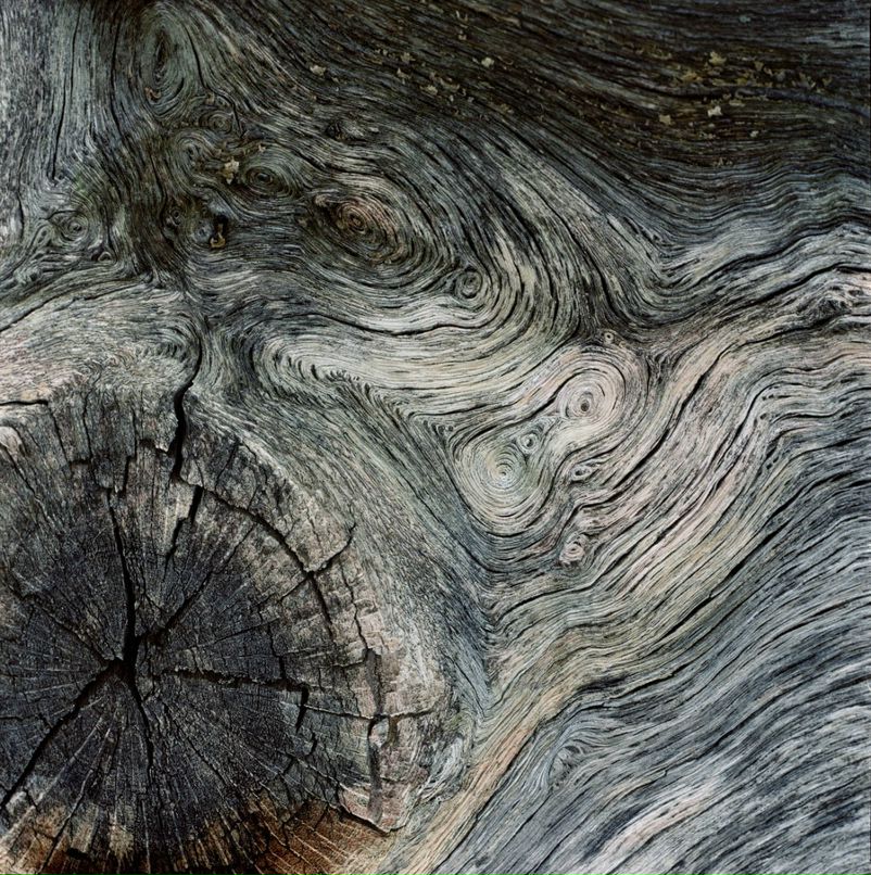 Дмитрий Чехов фотография #14