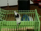 Віталік Талько фотография #45 (источник - https://vk.com/id93295017)