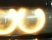 Вася Мераджі фотография #36 (источник - https://vk.com/id91268909)