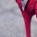 Катюха =) фотография #37 (источник - https://vk.com/id123783235)