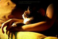 Іра Коротченко фотография #18 (источник - https://vk.com/id52973283)