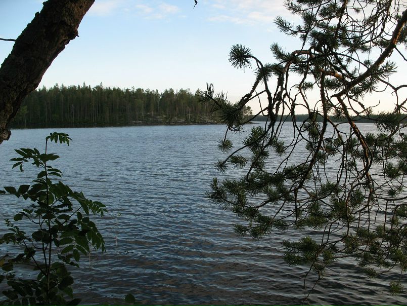 Михаил Романенко фото №17