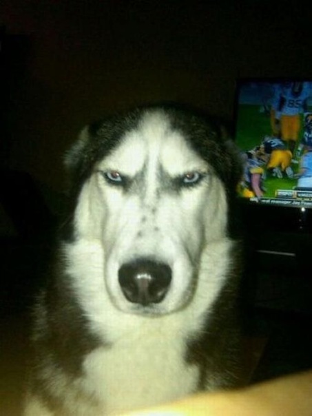 Никита Крылов фото №7