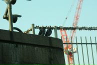 Дмитрий Коваленко фотография #21 (источник - https://vk.com/id1485373)